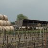 dsc03983d 22